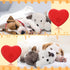2 Pack Liliful Puppy Heartbeat Toy Stuffed Puppy for Sleep Aid Plush Animals Dog Toy with Beating Heart Relief