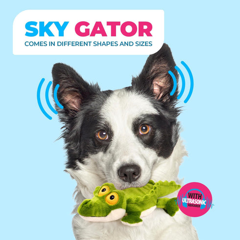 ALL FOR PAWS Ultrasonic Silent Squeaker Dog Toy, Quiet Comfort Plush Toy for Home and Office