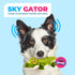 ALL FOR PAWS Ultrasonic Silent Squeaker Dog Toy, Quiet Comfort Plush Toy for Home and Office
