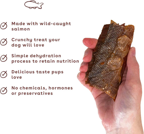Pupford Salmon Jerky Treats for Dogs, 4 oz - Made in USA, 100% Real Meat, No Fillers, Tasty Snacks for All Ages