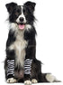 Geyoga 8 Pcs Knitted Elastic Dog Leg Warmers, Hock Protectors, Covers for Medium Large Pets, XL