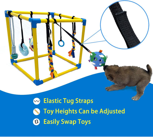 8 Dewonch Puppy Play Gym with Hanging Toys, Small Dogs Indoor Jungle Gym, PVC Frame with Bungee Straps Enrichment
