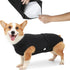 HEYWEAN Full Body Dog Diaper with a Puppy Nappies Physiological Dog Surgery Recovery Suit for Male Female Dogs
