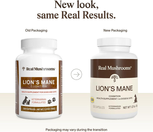 Wellbeing 120 Count Real Mushrooms Lions Mane Pet Mushroom Supplement Pet Capsules for Cat & Dog Supplement & Vitamins