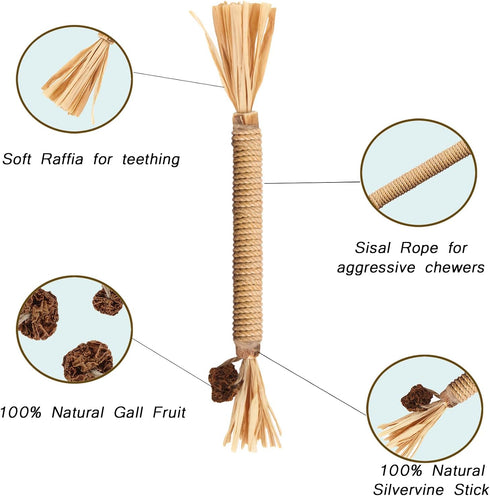 Cat Toy (6 PCS) Silver Rattan Stick, Catnip Stick for Training, Chew Stick, Indoor Interactive Toy