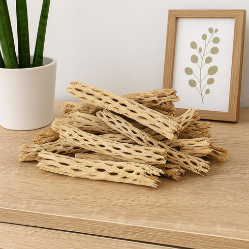 (2lb Koyal Wholesale Natural Cholla Wood Aquarium Branches, Airplants Decor, Reptile Perch, Untreated Cholla Wood