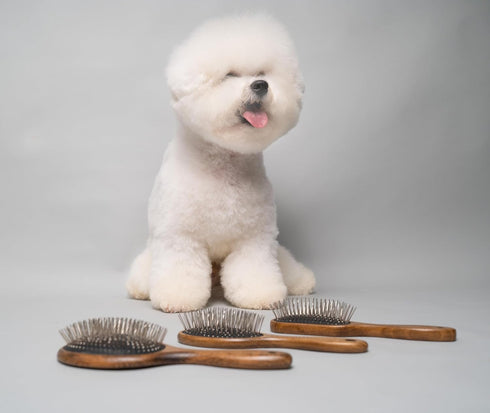 Wooden Massage Brush for Dogs and Cats, Premium Design with Soft Cushion, 24 x 6 cm