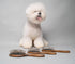 Wooden Massage Brush for Dogs and Cats, Premium Design with Soft Cushion, 24 x 6 cm