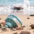 1PC Shell(3.1Inch ~4Inch),Used (1PC) Natural Large Hermit Crab Shells Turbo Shells Jade Green Banded Turbo as Hermit