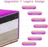 8FT FC FUNCHEER Folding Balance Beam -Gymnastics Floor Beam -Gymnastics Equipment for Kids,Wood core- Anti-Slip Bottom