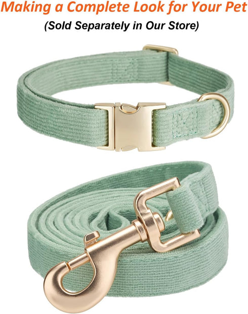 Corduroy Dog Leash, 5 Ft Length for Small Medium Large Dogs (Grass Green, Medium)