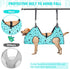 Dog Grooming Hammock - Pet Harness for Nail Trimming (S 30lb), Hanging Holder with Nail Clippers
