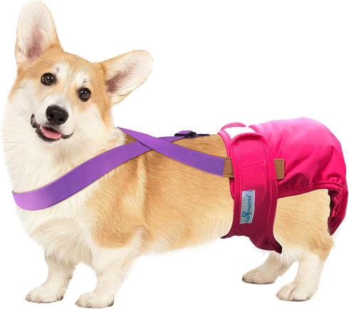 Paw Inspired Dog Diaper Suspenders, Adjustable Velcro Fasteners for Disposable & Washable Diapers, Fits M/L Pets