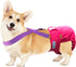 Paw Inspired Adjustable Dog Diaper Suspenders with Velcro Fasteners for Male and Female Pets, Fits Small to Large (S/M,