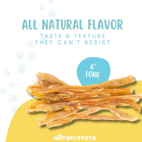 hotspot pets Beef Tendon Chews for Dogs, 8 Inch All Natural, Grass-Fed Premium USDA Gambrol Beef Tendon Stick
