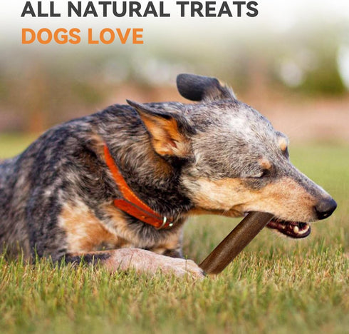 AZRAPAWS 12" 10 Pack Beef Collagen Sticks for Dogs, Dog Chews for Medium and Large Dogs, Bully Sticks
