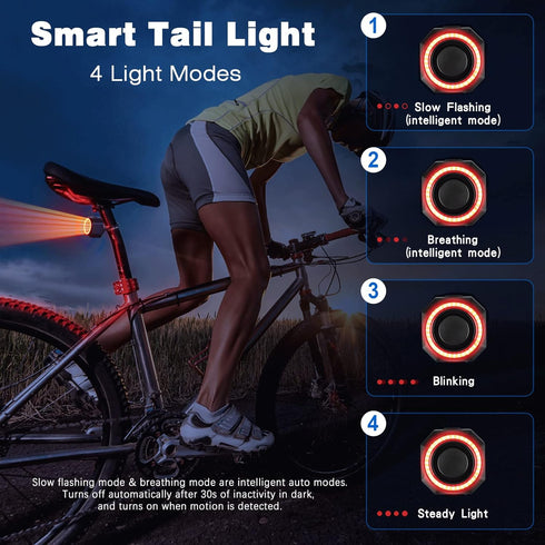 WSDCAM Smart Bike Tail Light Alarm, USB C Rechargeable, Auto ON/Off, Waterproof Bicycle Alarm with Remote