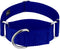 Country Brook Petz HossFit Jr Wide Martingale Dog Collar, Royal Blue, Large, No Buckle, Service Dog Collar