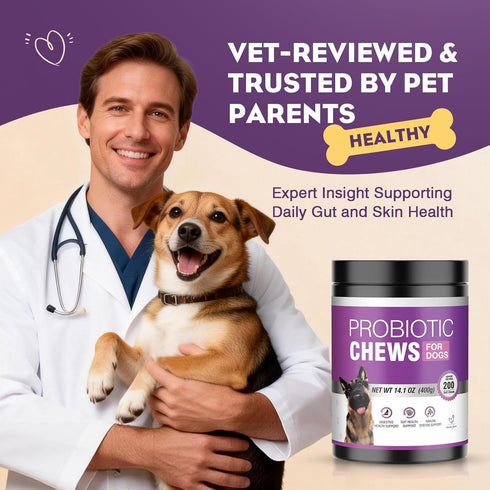 200pcs Immunity Probiotics for Dogs Dog Probiotics for Digestive Health Digestive Enzymes and Prebiotic, Probiotic