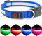Vizpet LED Dog Collar - Adjustable USB Rechargeable Light Up Safety Glowing Collar for Dogs (Large, Blue)