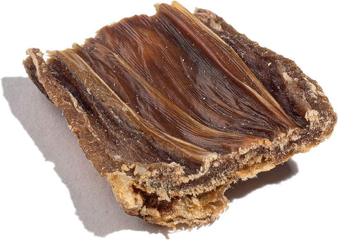 (1 LB) Jack&Pup Beef Gullet Bites Gullet Jerky for Small, Medium Dogs, Single Ingredient Beef Esophagus Dog Treats