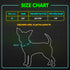 BSEEN Adjustable LED Dog & Cat Collar - Green, Rechargeable, Small Breeds, 8.5-11.8 inches, Lightweight, Reflective, 2