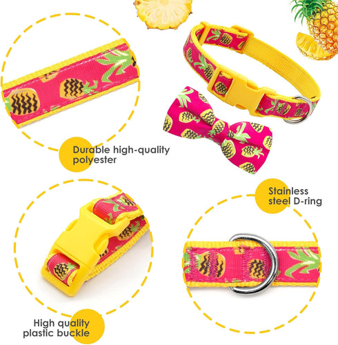 azuza Bowtie Dog Collar, Soft & Comfy with Fun Patterns for Small Dogs