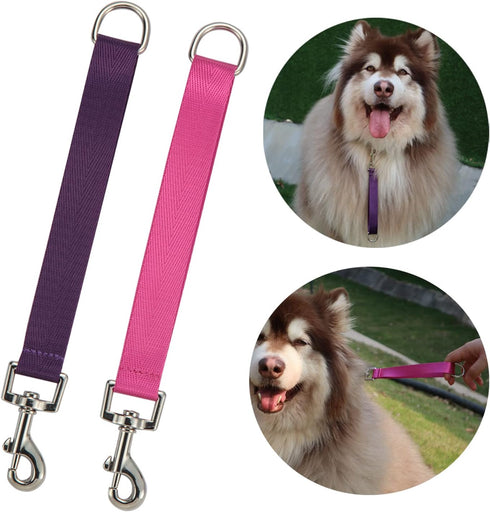 Traffic Dog Leash, Pet Dog Training Leash with Grab Handle and Training Tab (Rosered & Purple)