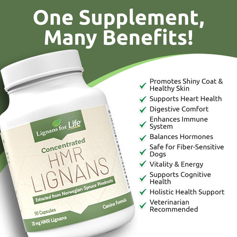 20mg 90 Lignans For Life HMR Lignans - Capsules - Vitamin for Healthy Pet | Natural Multivitamin | Wellness Supplement