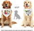 2 Packs Big Sister Brother Pregnancy Announcement Dog Bandana, Gender Reveal Photo Prop, Pet Scarf Accessories