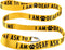 Funny Dog Leash Sleeve, I Am Deaf Ask to Pet Me Dog Leash for Training, Pet Lover Gift