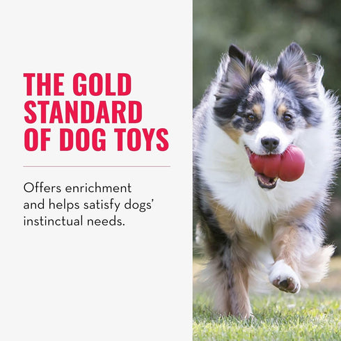 (Pack 2) KONG Classic Stuffable Dog Toy - Fetch & Chew Toy for Dogs - Treat-Filling Capabilities & Erratic Bounce