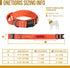 Tough Tactical Dog Collar with Handle, Military Adjustable Collar for Training (Medium, Orange)