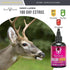 Hunters Specialties Buck Bomb Natural 180 Day Estrus Liquid Scent with Wicks for Deer Buck Lure