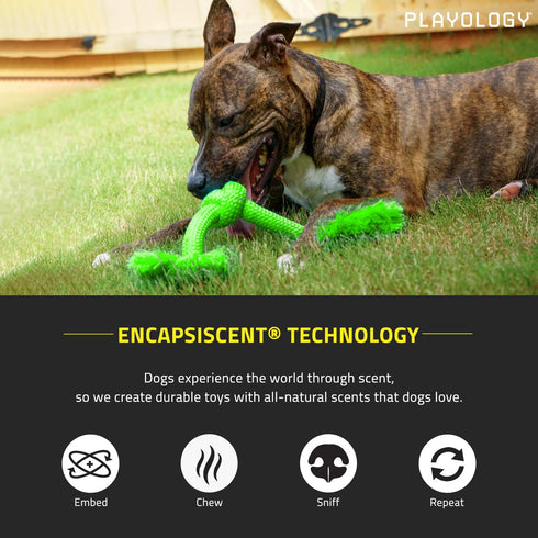 Playology Dri Tech Rope Dog Chew Toy - Large Breeds (35lbs & up), All-Natural Sweet Potato Scented, Easy to Clean