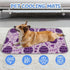 imiBBWQu Summer Summer 27" 22" Cooling Pad Purple Easter Eggs Dog Cooling Mat Indoor Washable Pad for Dog Bed Beds