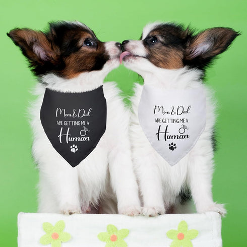 2 PCS Dog Bandanas for Pregnancy Announcement - Mom Dad are Getting Me a Human, Gender Reveal Photo Prop