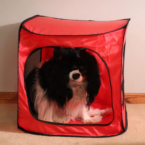 Portable Pop Up Dog Crate - Medium Size