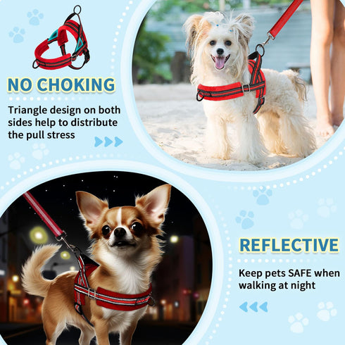 SlowTon No Pull Small Dog Harness & Leash Set, Adjustable Soft Vest Harness for Small Medium Dogs (R-Front Clip, S)