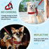SlowTon No Pull Small Dog Harness & Leash Set, Adjustable Soft Vest Harness for Small Medium Dogs (R-Front Clip, S)
