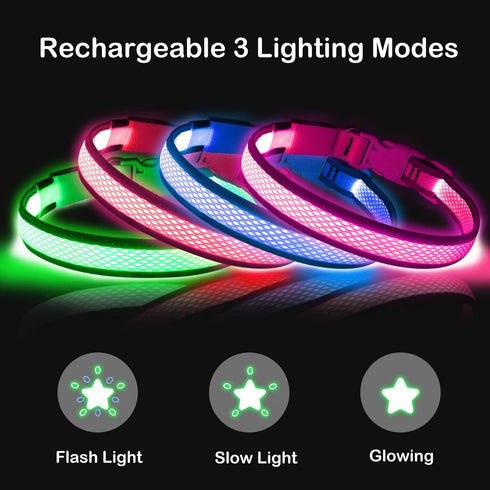 LED Dog Collar, USB Rechargeable Light Up Safety Collar for Small, Medium, Large Dogs (Large, Ruby Red)