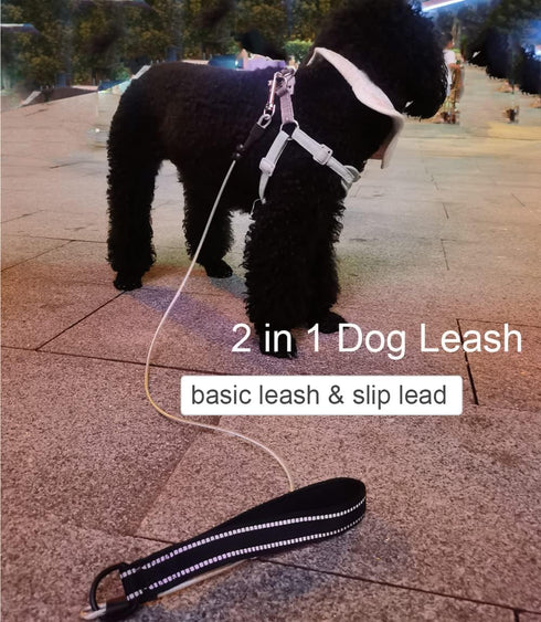 4/6FT Chew Proof Cable Slip Lead Dog Leash with Reflective Soft Nylon Handle for Small Medium Dogs Training (6ft)