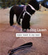 4/6FT Chew Proof Cable Slip Lead Dog Leash with Reflective Soft Nylon Handle for Small Medium Dogs Training (6ft)