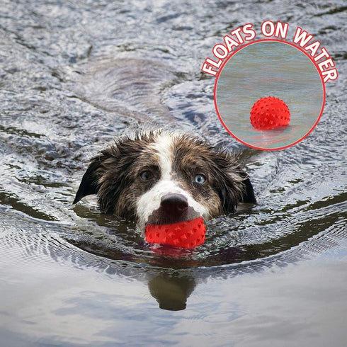 RHL Dog Squeaky Toys for Aggressive Chewers - Large Breed Balls Interactive Toy for Medium Small Dogs
