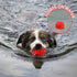 RHL Dog Squeaky Toys for Aggressive Chewers - Large Breed Balls Interactive Toy for Medium Small Dogs