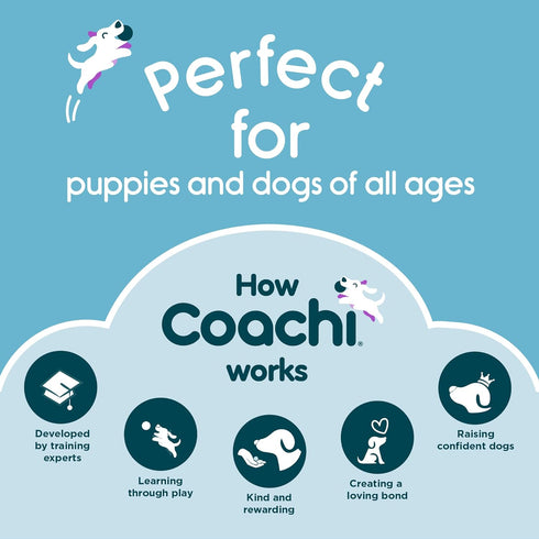 Coachi Tuggi Ball - Interactive Dog Toy for Tug of War, Strong Bungee Handle for Training and Play