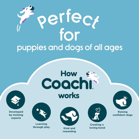 Coachi Tuggi Helix Interactive Dog Toy for Tug of War & Play | Strong Lightweight Bungee Handle for Training