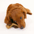 Nylabone Gourmet Style Strong Chew Wishbone Dog Toy, Chicken Flavor, Small/Regular (1 Count)