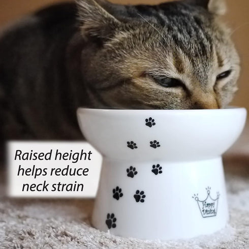 Necoichi Raised Stress Free Cat Food Bowl, Elevated Design, Dishwasher and Microwave Safe (Regular)