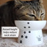Necoichi Raised Stress Free Cat Food Bowl, Elevated Design, Dishwasher and Microwave Safe (Regular)
